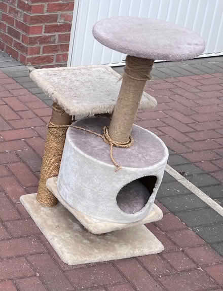 Photo of free Red 2 seater sofa - 2 cat trees - cat litter tray hooded lid (Penrith CA11) #2