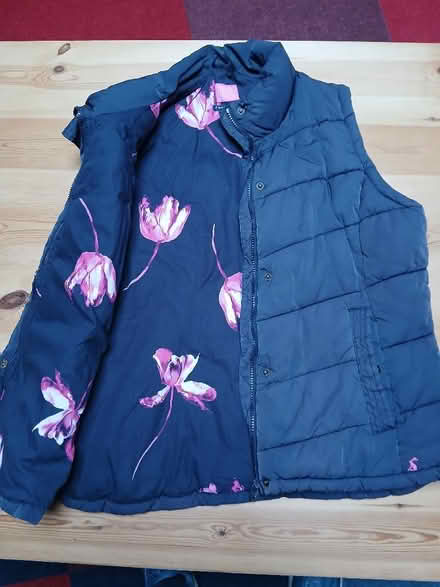 Photo of free Blue gillet (Odd Down BA2) #2