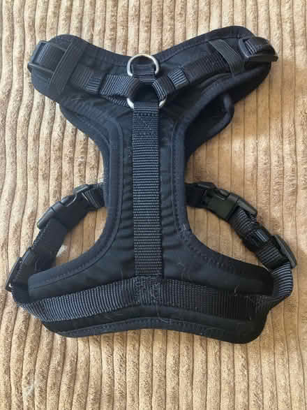 Photo of free Dog Harness (Near Gary Ave & Schick Rd) #1