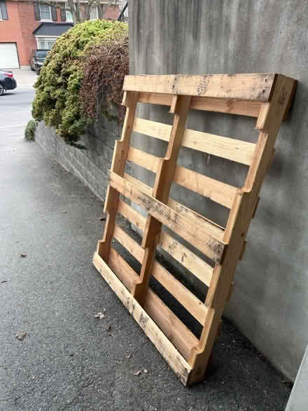 Photo of free Wood pallet (Old ottawa south) #1