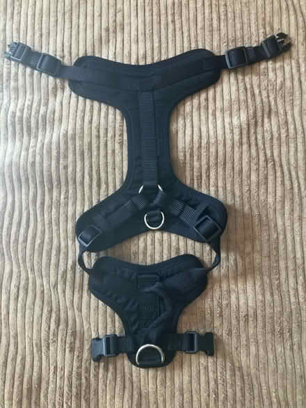 Photo of free Dog Harness (Near Gary Ave & Schick Rd) #2