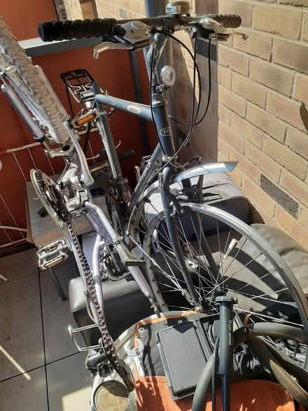 Photo of free Girls and man bike (Hounslow TW3) #1