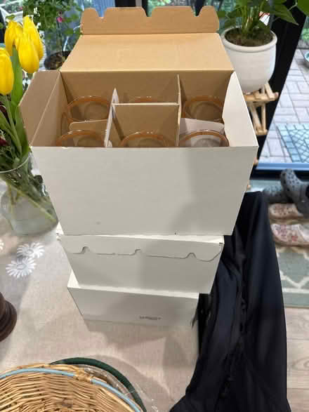 Photo of free Glasses (Colehill BH21) #2