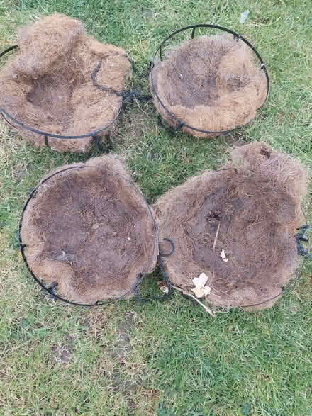 Photo of free Small pre-lined hanging baskets (Upper Wolvercote OX2) #1