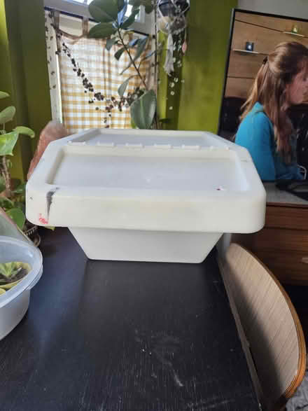 Photo of free Large plastic storage tub (E15 1HB) #2