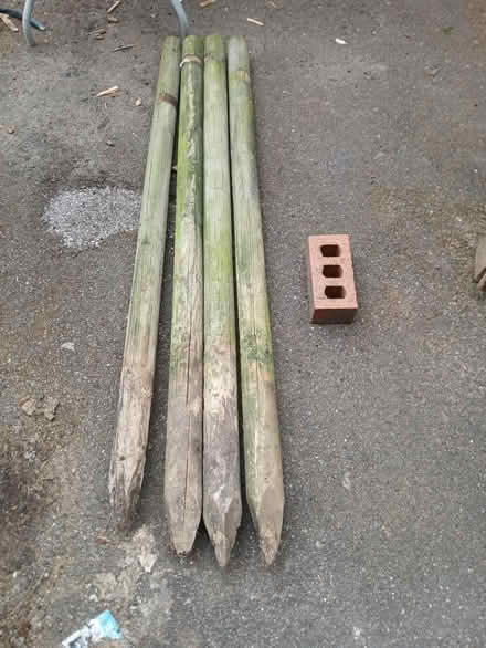 Photo of free 4 x Tree planting stakes (Heeley, S2) #1