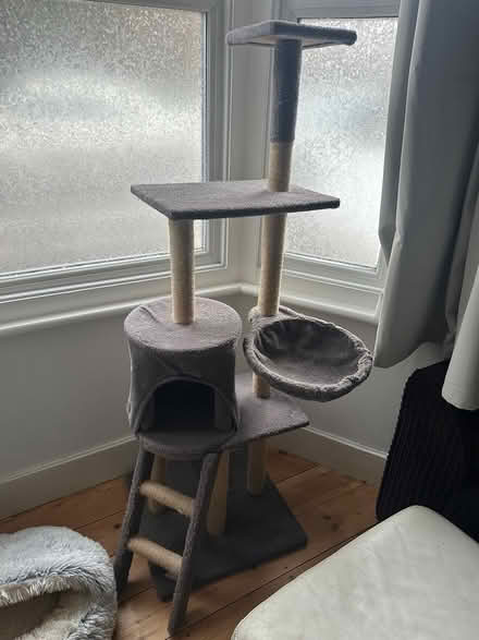 Photo of free Cat scratching post (CR2) #1