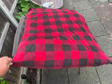 Photo of free Large dog bed (Langley SL3) #1