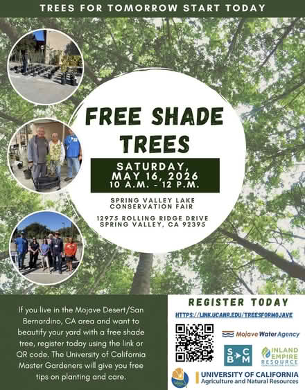 Photo of free Shade Trees Spring Valley Lake (Spring Valley Lake) #1