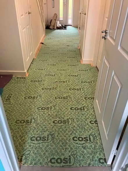 Photo of free Carpet underlay (Norfolk Park S2) #1