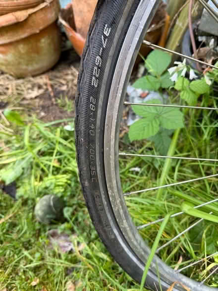 Photo of free Bike (Aldrington BN3) #2