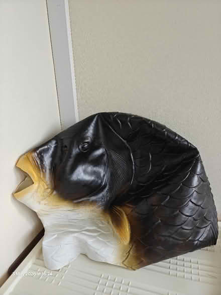 Photo of free Fish Latex Mask (Midhurst GU29) #1