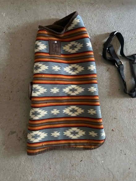 Photo of free Dog sweater and car harness (Cortlandt Manor) #2