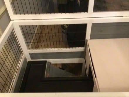 Photo of free Rabbit Hutch (Alexandra Palace N22) #2