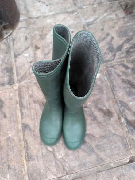 Photo of free Sizee 8 wellies (Headington OX3) #1
