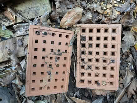 Photo of free Air bricks.....or bee hotel (Kingswood) #1