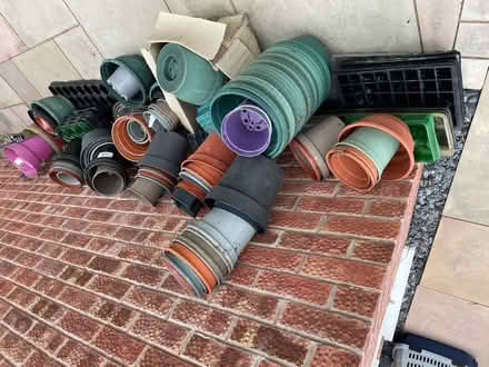 Photo of free Plant Pots (Upton CH2) #1