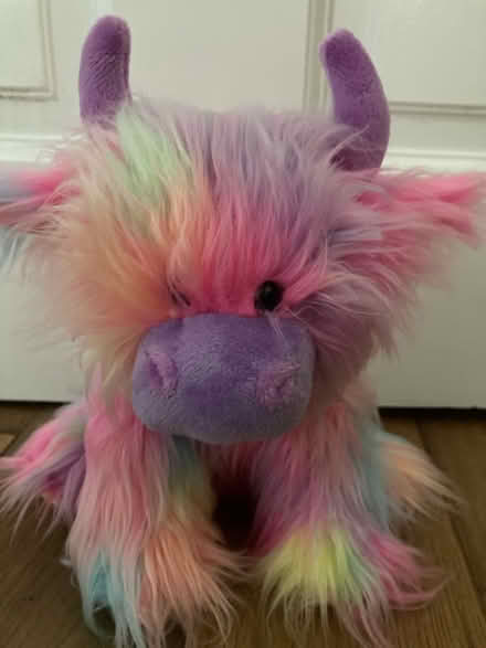 Photo of free Highland cow teddy (SK17 Buxton) #1