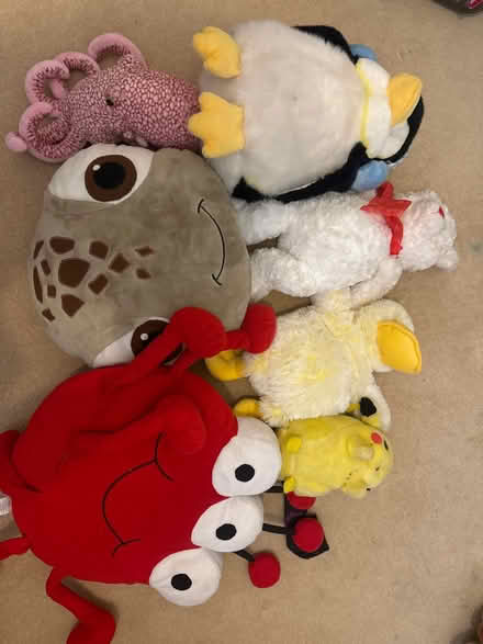 Photo of free Soft toys (Bangor LL57) #1