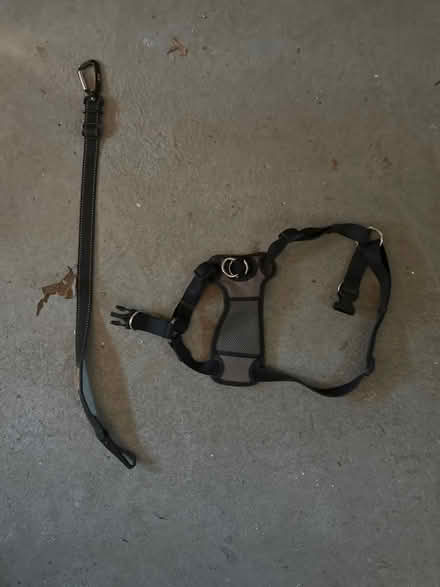 Photo of free Dog sweater and car harness (Cortlandt Manor) #3