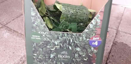 Photo of free artificial foliage (wyberton) #2