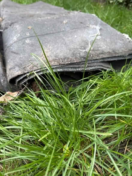 Photo of free Roof felt rolls (Wallingford) #2