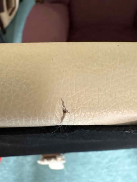 Photo of free Single headboard (CM17) #3