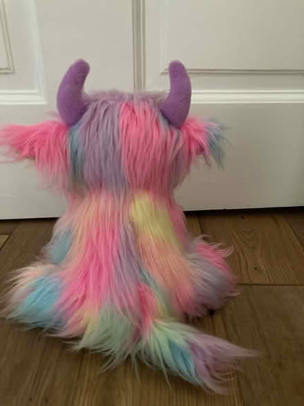 Photo of free Highland cow teddy (SK17 Buxton) #2