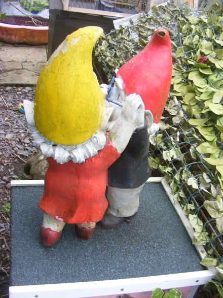Photo of free Garden Asda gnomes needing TLC (Carbis Bay TR26) #3