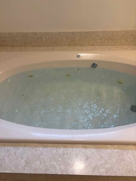 Photo of free American Standard jet tub (Off Purchase street Middleboro) #3