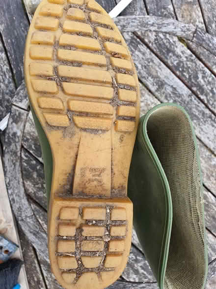 Photo of free Size 5 wellies (Ickleford. Sg5) #2