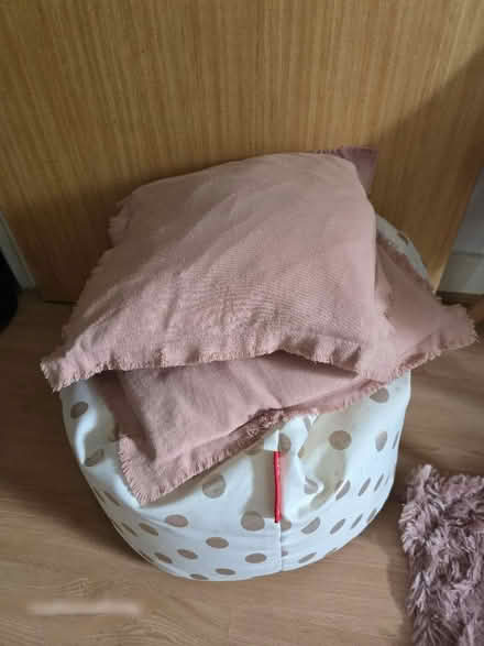 Photo of free Beanbag, 2 cushions & photoframe (Lewisham SE13) #1