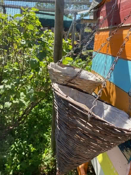 Photo of free 4 conical shape wicker hanging baskets (Lightpill GL5) #3