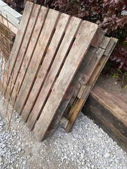 Photo of free 2 x pallets (Millfields CW5) #1