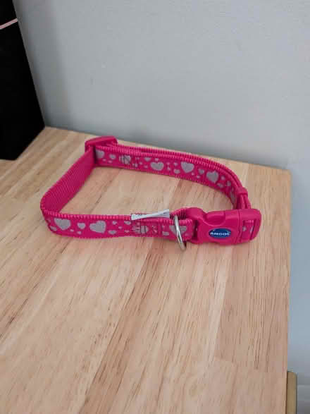 Photo of free Dog collar (Slateford EH14) #1