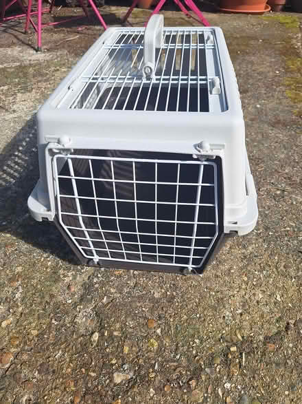 Photo of free Cat/puppy carrier (Bedhampton PO9) #2