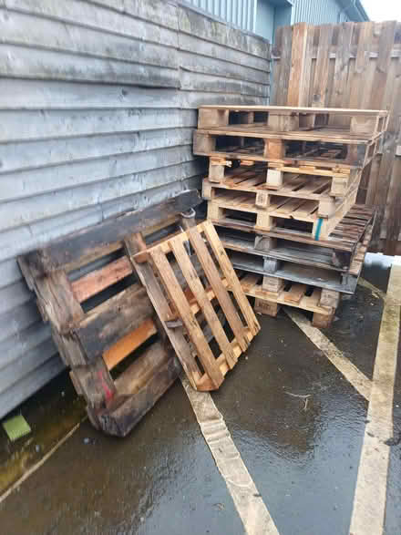 Photo of free Wooden pallets (Rudloe SN13) #1