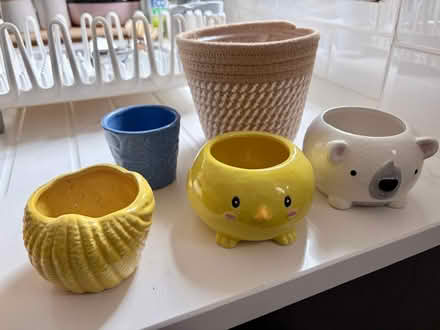 Photo of free Small plant pots (West Bridgford NG2) #1