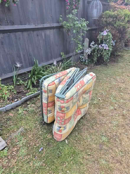 Photo of free Sunlounger (Blackheath, SE13) #3