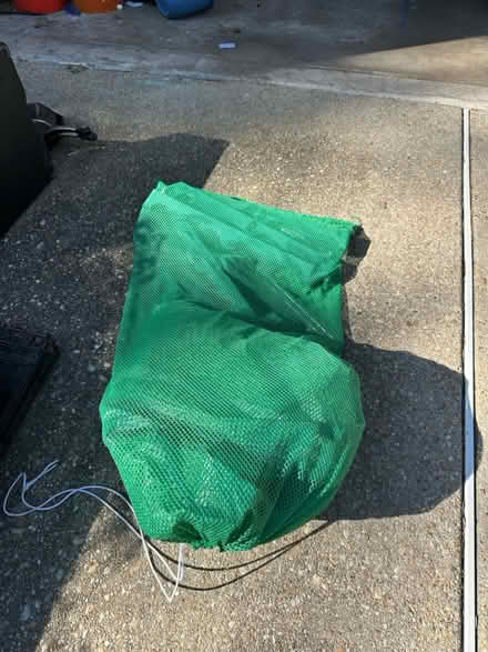 Photo of free Tomato grower (Potomac) #1
