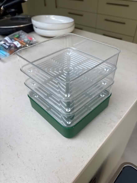 Photo of free Seed sprouted (E9) #1