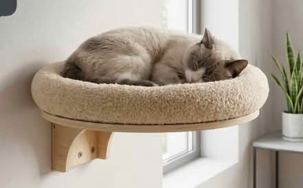 Photo of free Wall Mounted cat hammock / bed (Burgess Hill RH15) #1