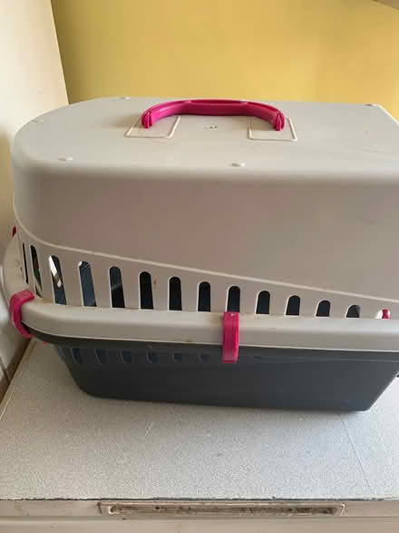 Photo of free Cat carrier (Bucknell SY7) #2