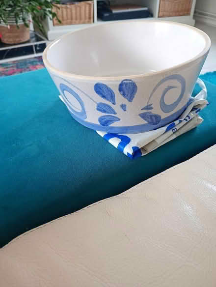 Photo of free Dish. (Temple Cowley OX4) #1