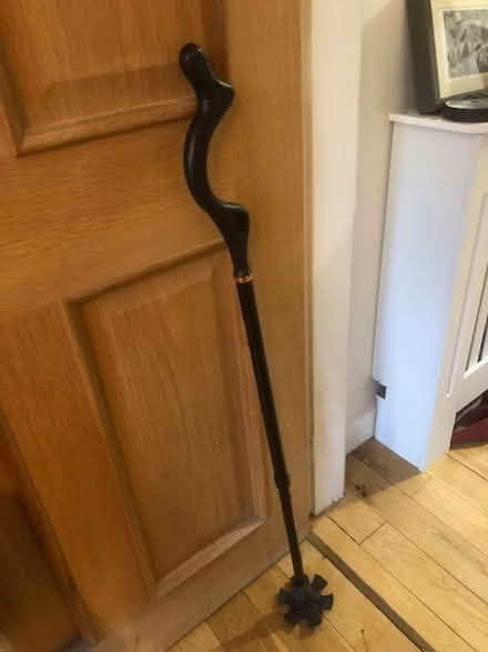 Photo of free Walking stick with wide base ferrule HG2 (Harrogate HG2) #1