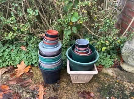 Photo of free Plant pots - various sizes (Lemsford AL8) #1