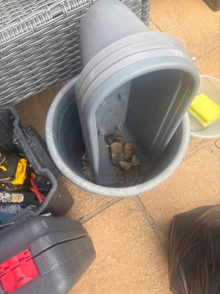 Photo of free Grey plastic plant pots (TW12) #1