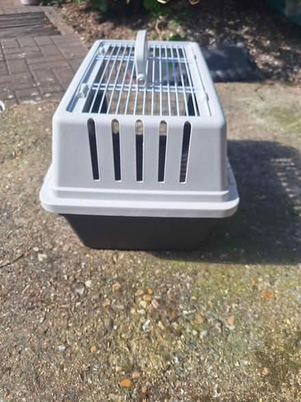 Photo of free Cat/puppy carrier (Bedhampton PO9) #3