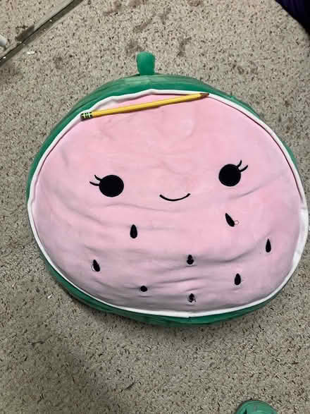 Photo of free Watermelon Squishmallow (Arlington/West Medford line) #1