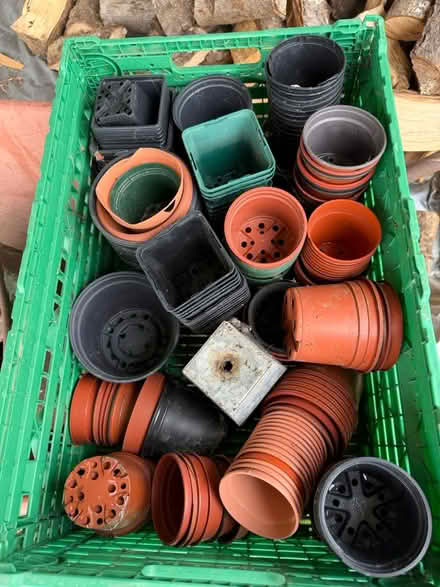 Photo of free Tray of small plant pots (Nr Ripley DE5) #1